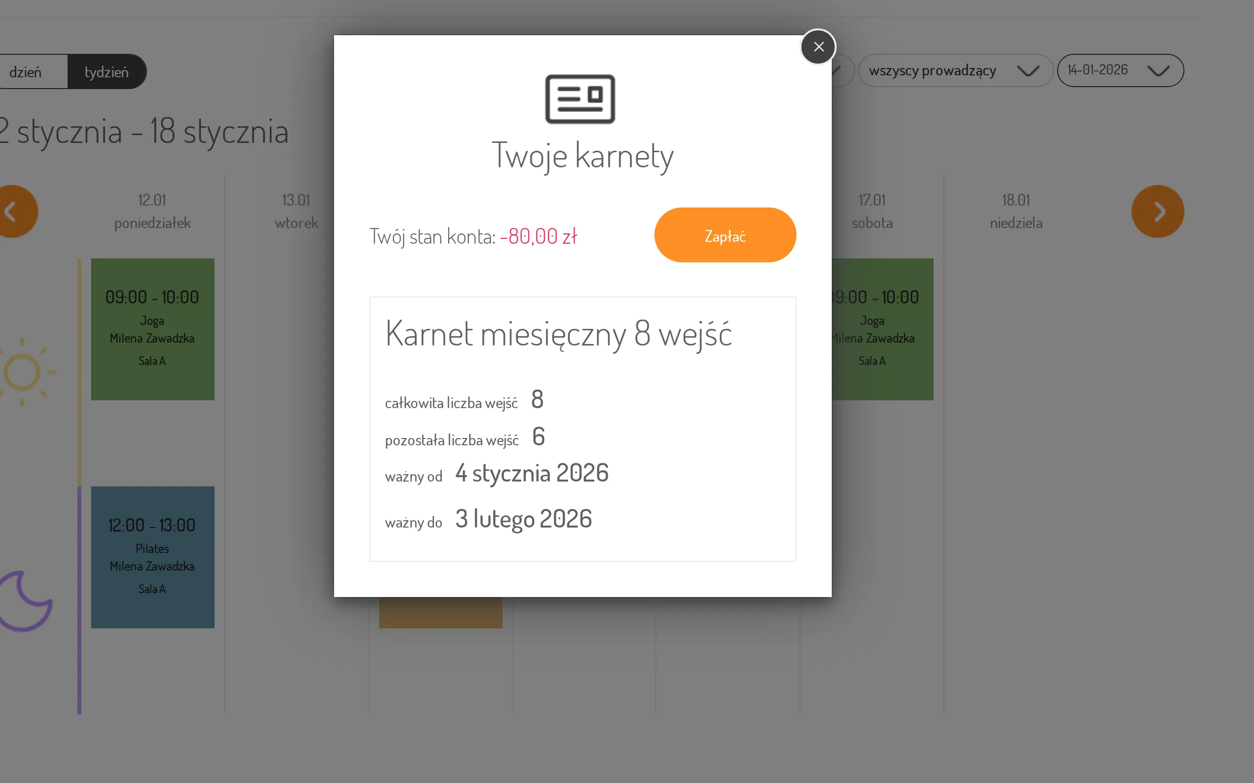Account balance with the Pay button in the customer panel